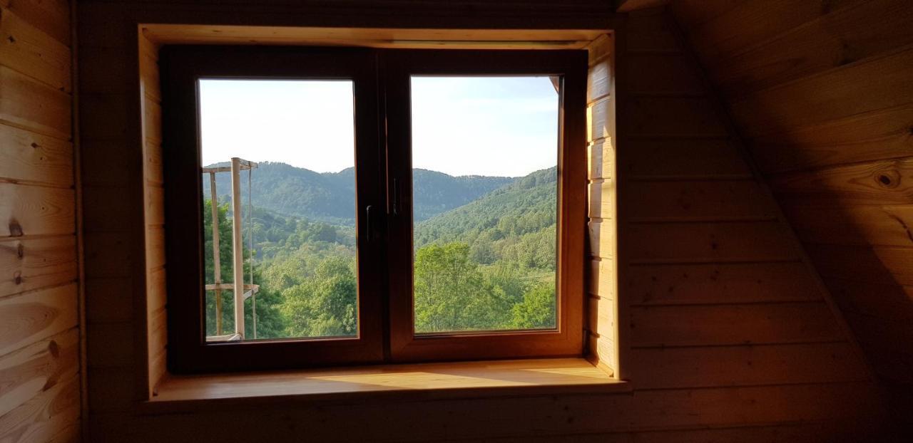 Auberge de jeunesse Bacowka Pttk Jaworzec à Wetlina Extérieur photo