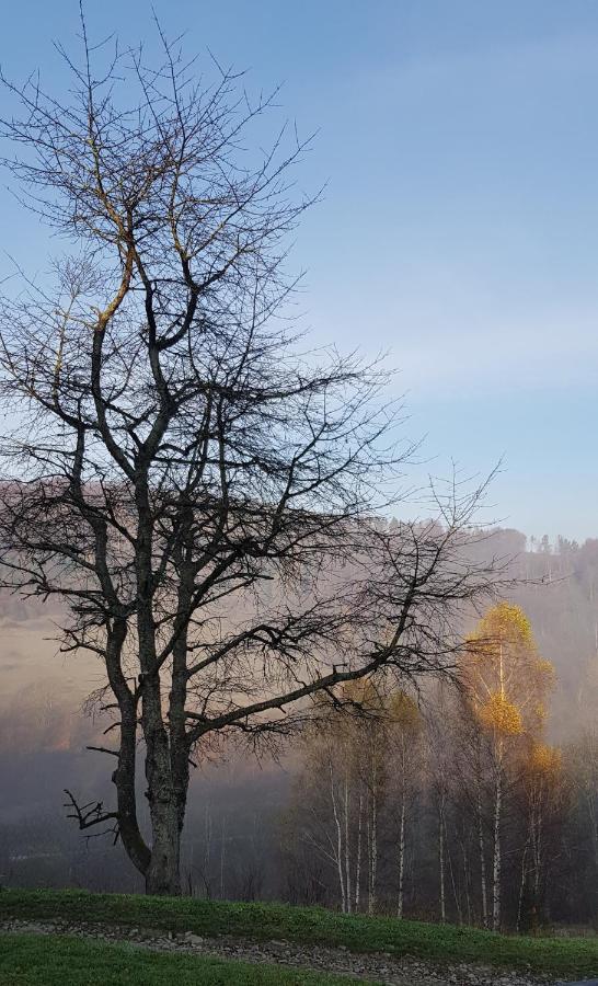 Auberge de jeunesse Bacowka Pttk Jaworzec à Wetlina Extérieur photo
